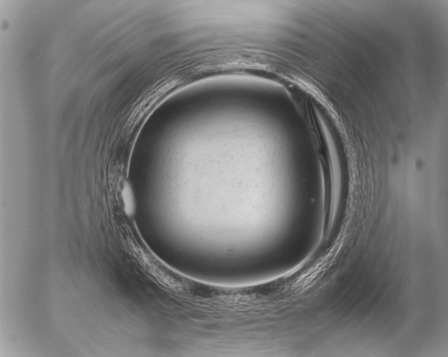 X0000057080793200509231622