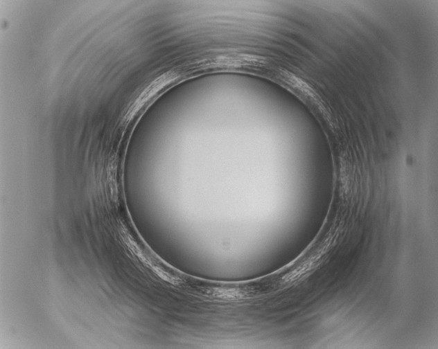 X0000057080794200509231622