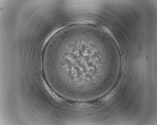 X0000057080795200509231622