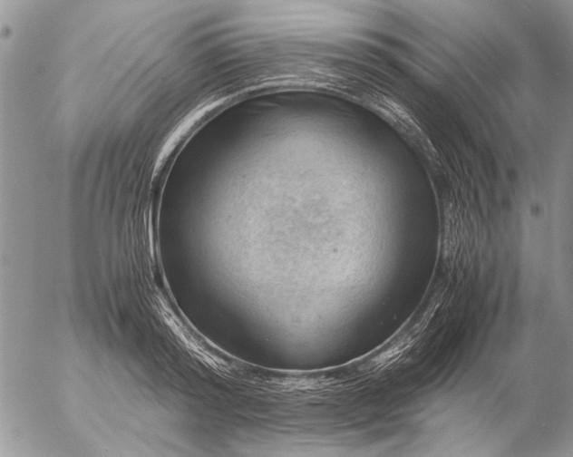 X0000057080796200509231622