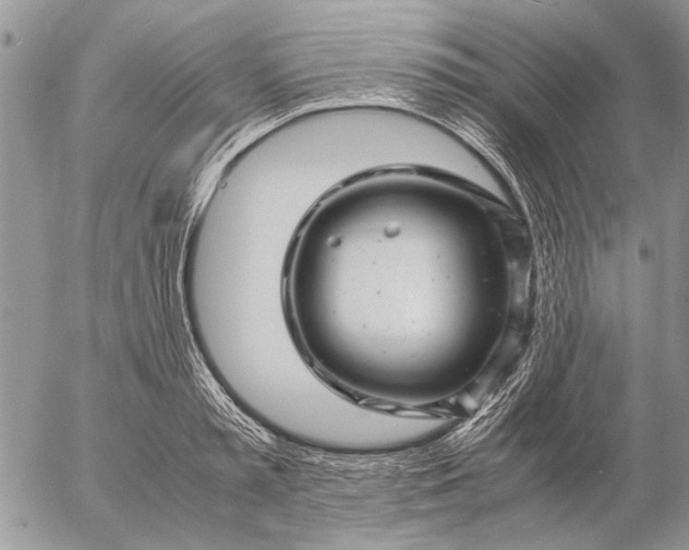 X0000057080797200509231622