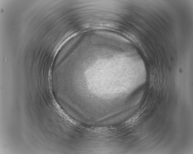 X0000057080798200509231622