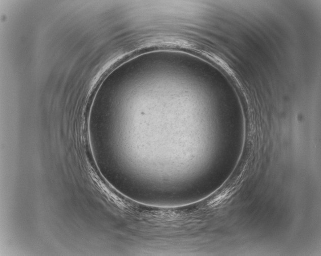 X0000057080799200509231622