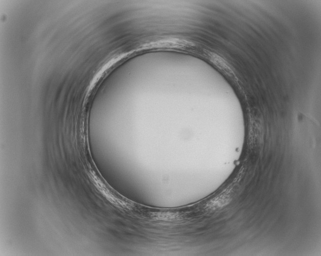 X0000057080800200509231622