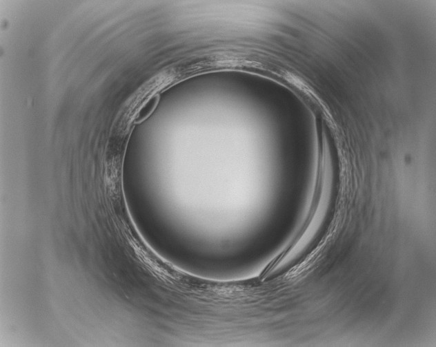 X0000057080801200509231622