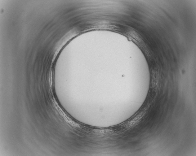 X0000057080804200509231622