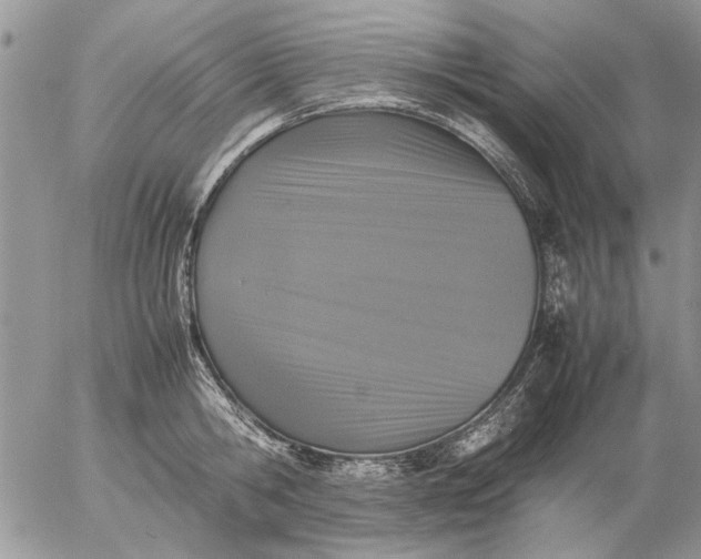 X0000057080806200509231622