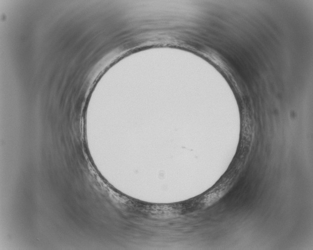 X0000057080807200509231622