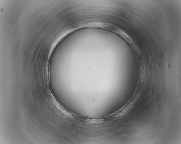 X0000057080808200509231622