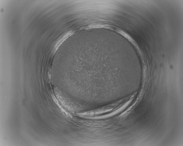 X0000057080809200509231622