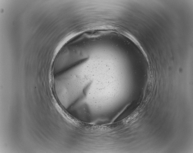 X0000057080811200509231622