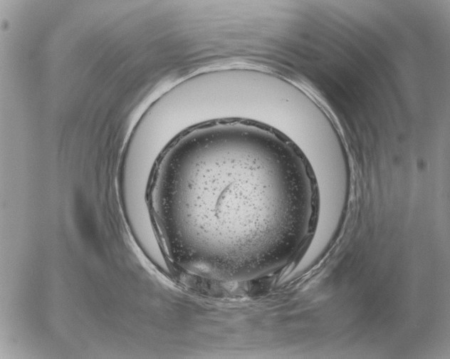 X0000057080813200509231622