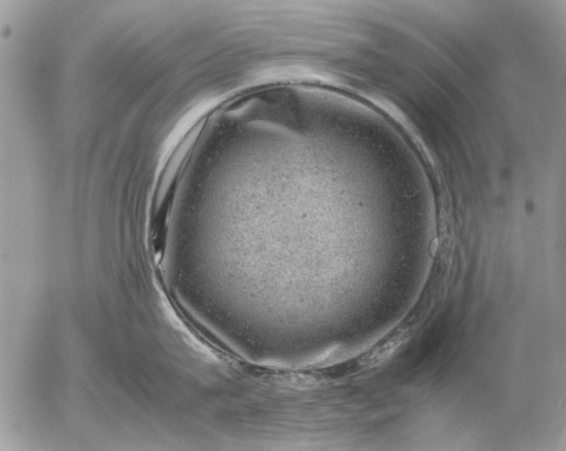 X0000057080815200509231622