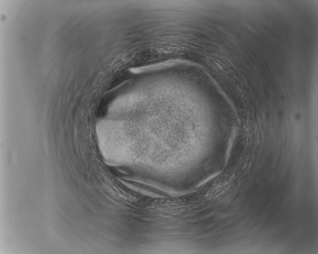 X0000057080817200509231621