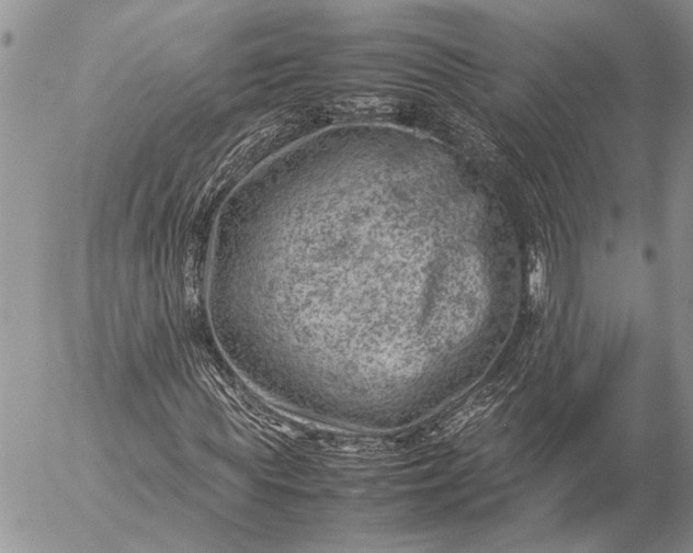 X0000057080819200509231621