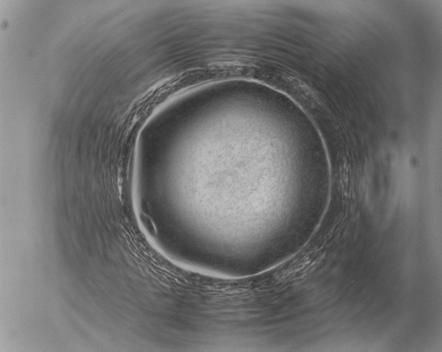 X0000057080821200509231621