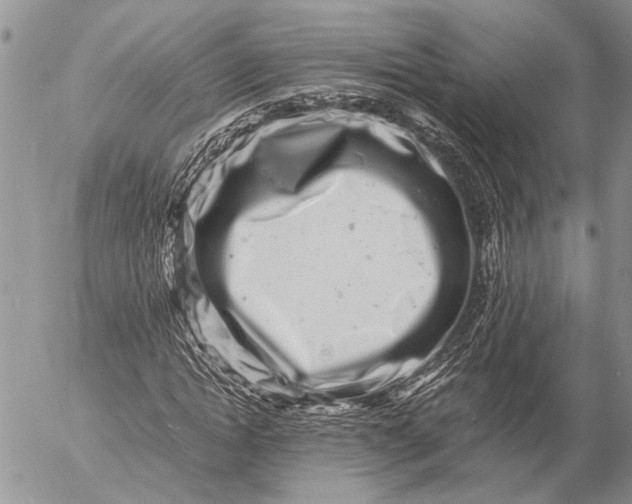 X0000057080822200509231621