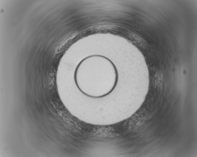 X0000057080824200509231621