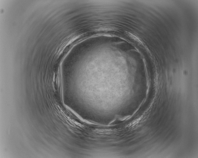 X0000057080825200509231621