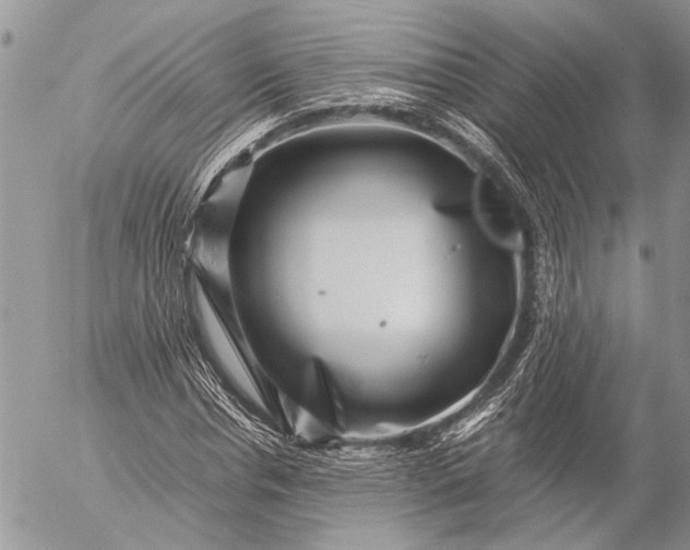 X0000057080826200509231621