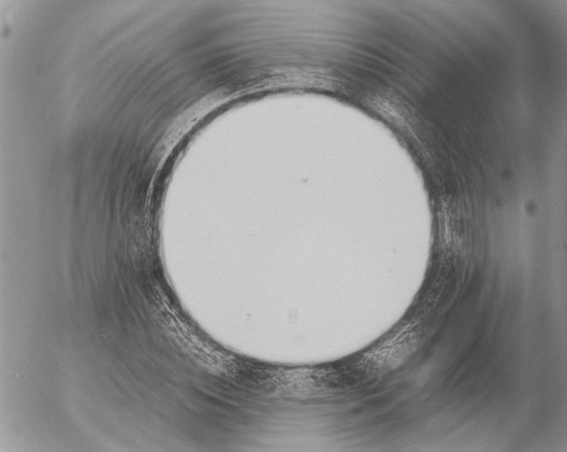 X0000057080828200509231621