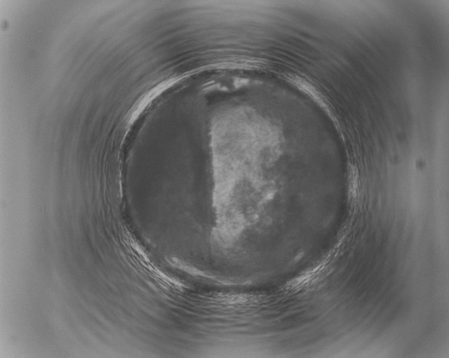 X0000057080829200509231621