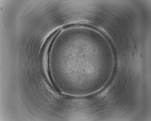 X0000057080830200509231621