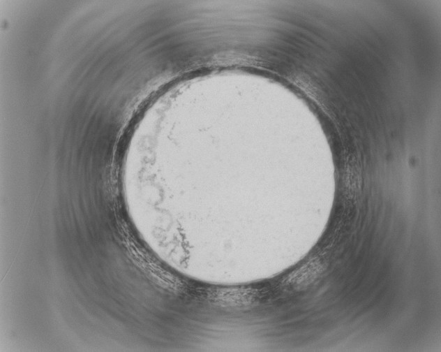 X0000057080832200509231622