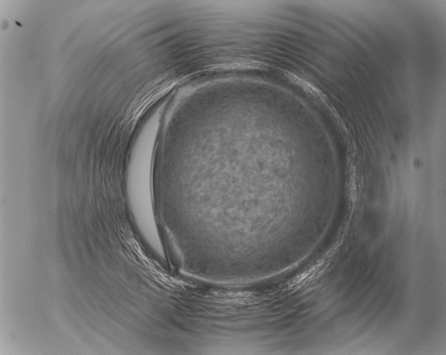 X0000057080833200509231622