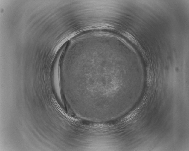 X0000057080834200509231622