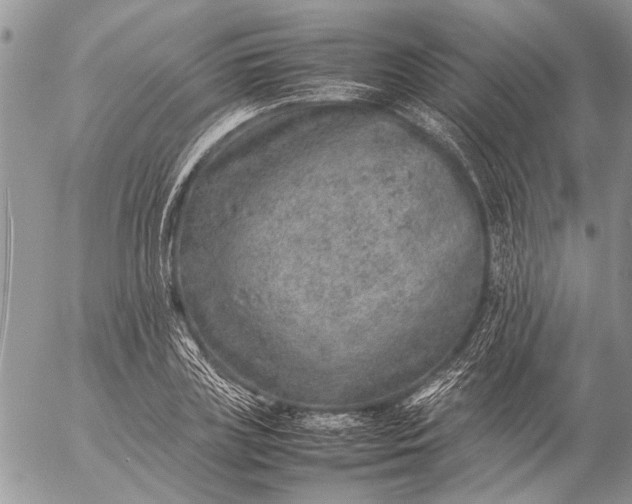 X0000057080835200509231622