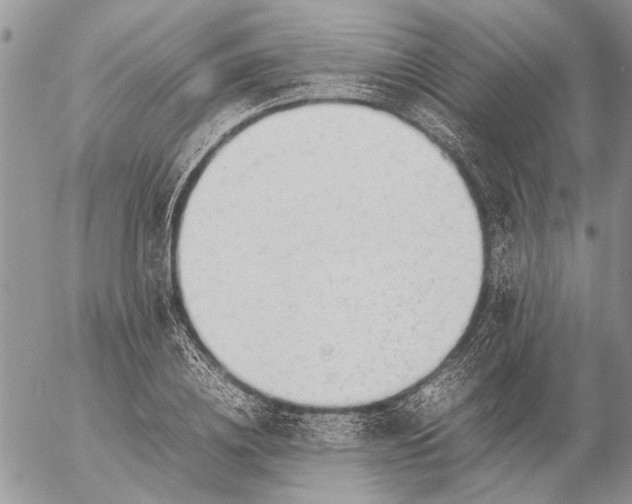 X0000057080836200509231622