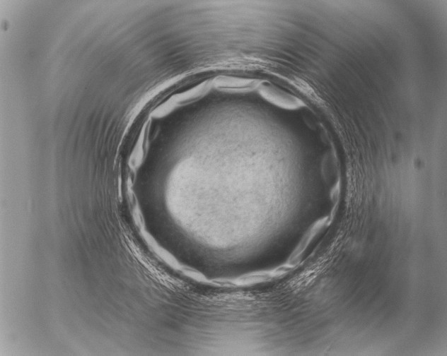 X0000057080838200509231622