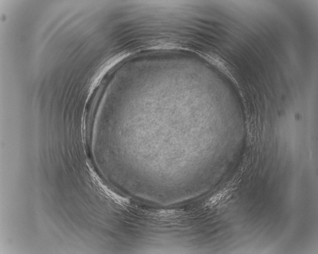 X0000057080839200509231622