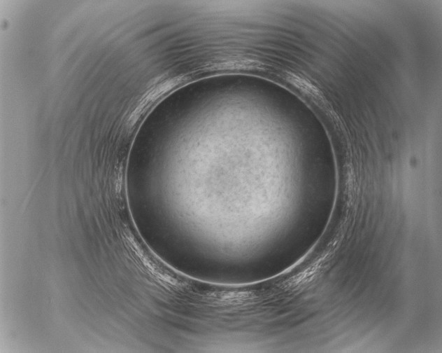 X0000057080841200509231622