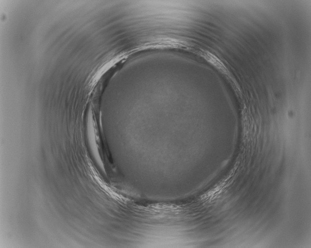 X0000057080842200509231622