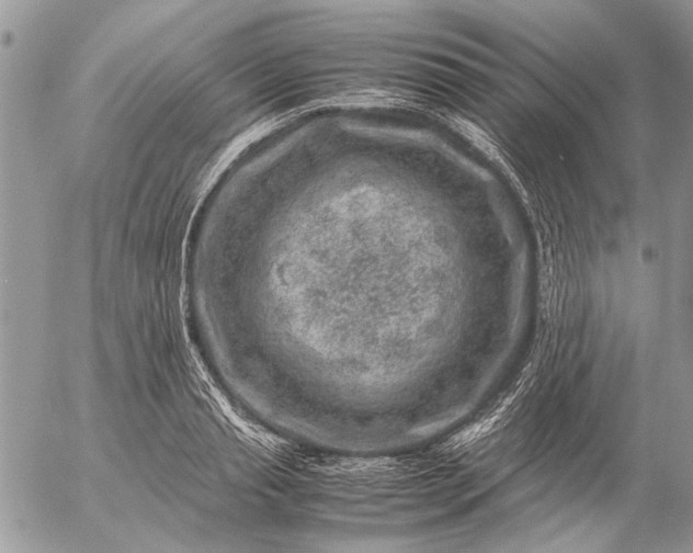 X0000057080845200509231622