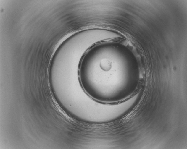 X0000057080846200509231622