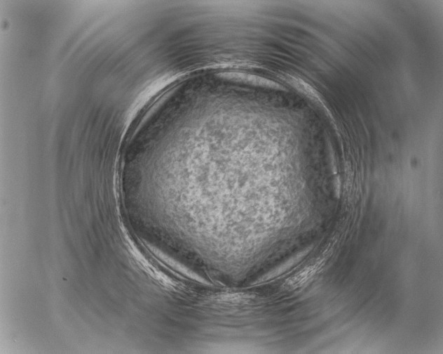 X0000057080847200509231622