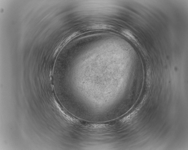 X0000057080849200509231622