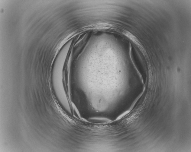 X0000057080850200509231622