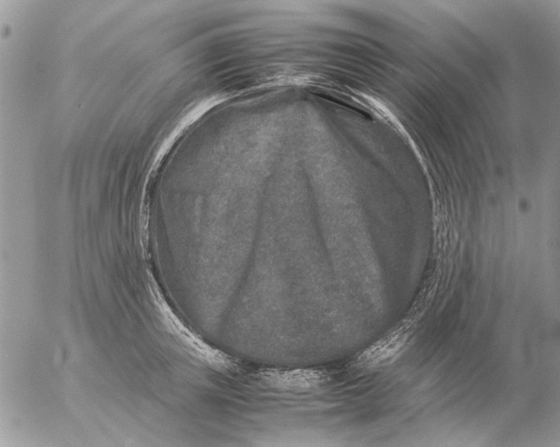 X0000057080851200509231622