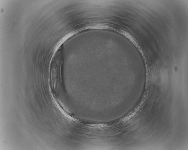 X0000057080853200509231622