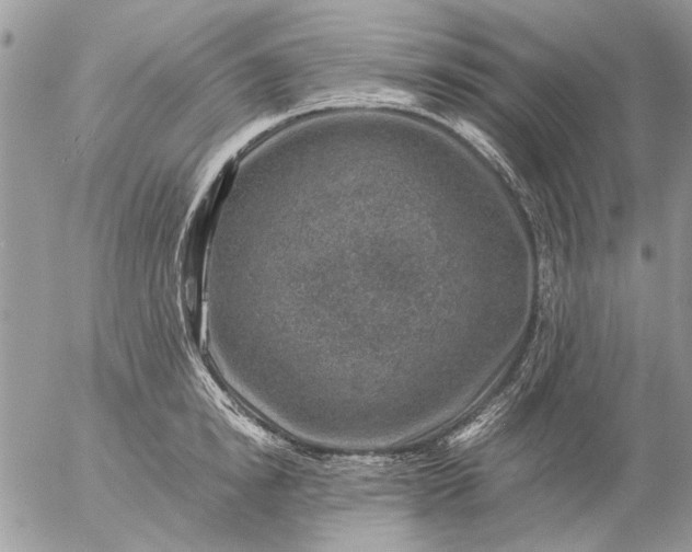 X0000057080854200509231622