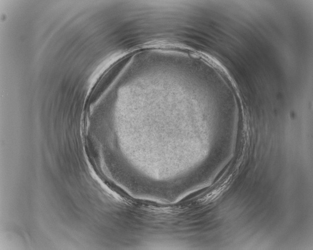 X0000057080855200509231622