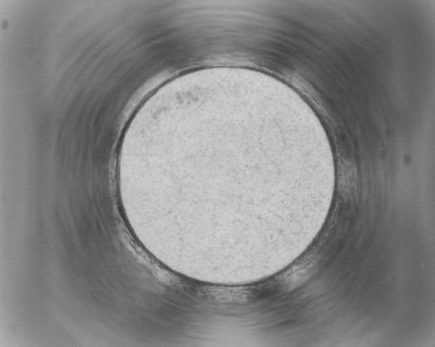 X0000057080856200509231622