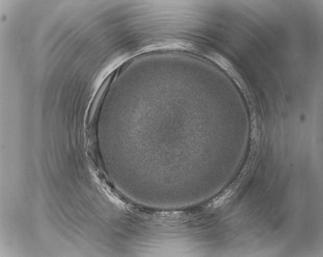 X0000057080858200509231622