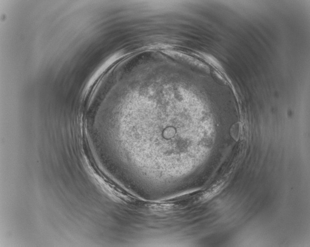 X0000057080859200509231622