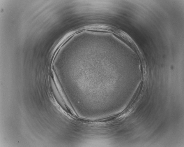 X0000057080860200509231622