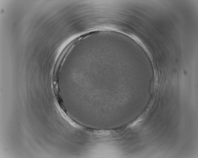 X0000057080862200509231622